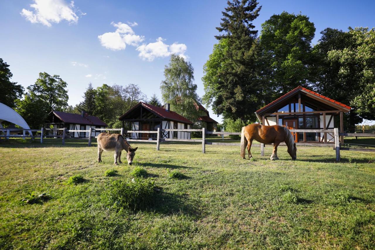 Pferdehof Schorfheide Exterior foto
