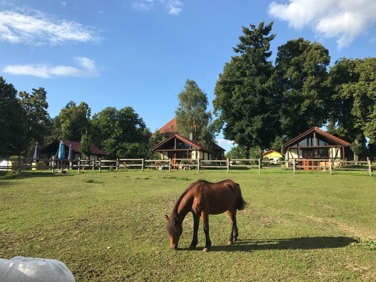 Pferdehof Schorfheide Exterior foto